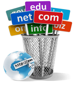 Website Hosting